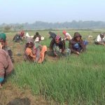 kaligonj Gata Group Pic